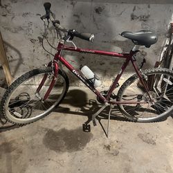 Diamondback wildwood