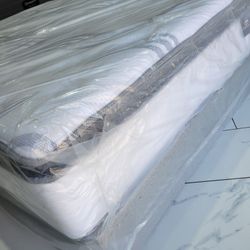 Queen Sizes Mattress Set 