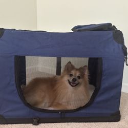 Soft Pet Carrier (36”)