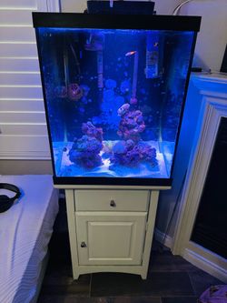 Complete fish tank. Salt or fresh water
