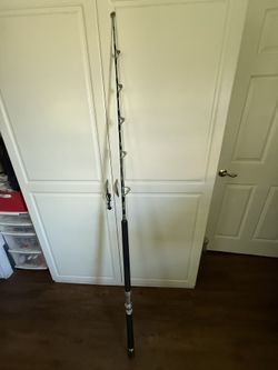 Seeker Fishing rod
