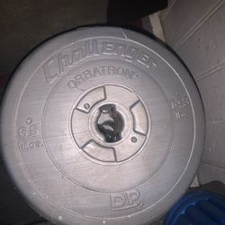 6.5KG Weight plates