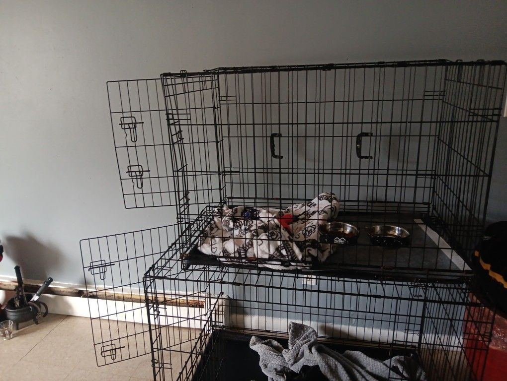 Medium Cage