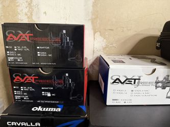 Avet /avet Raptor Plus 