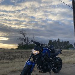 Fz09