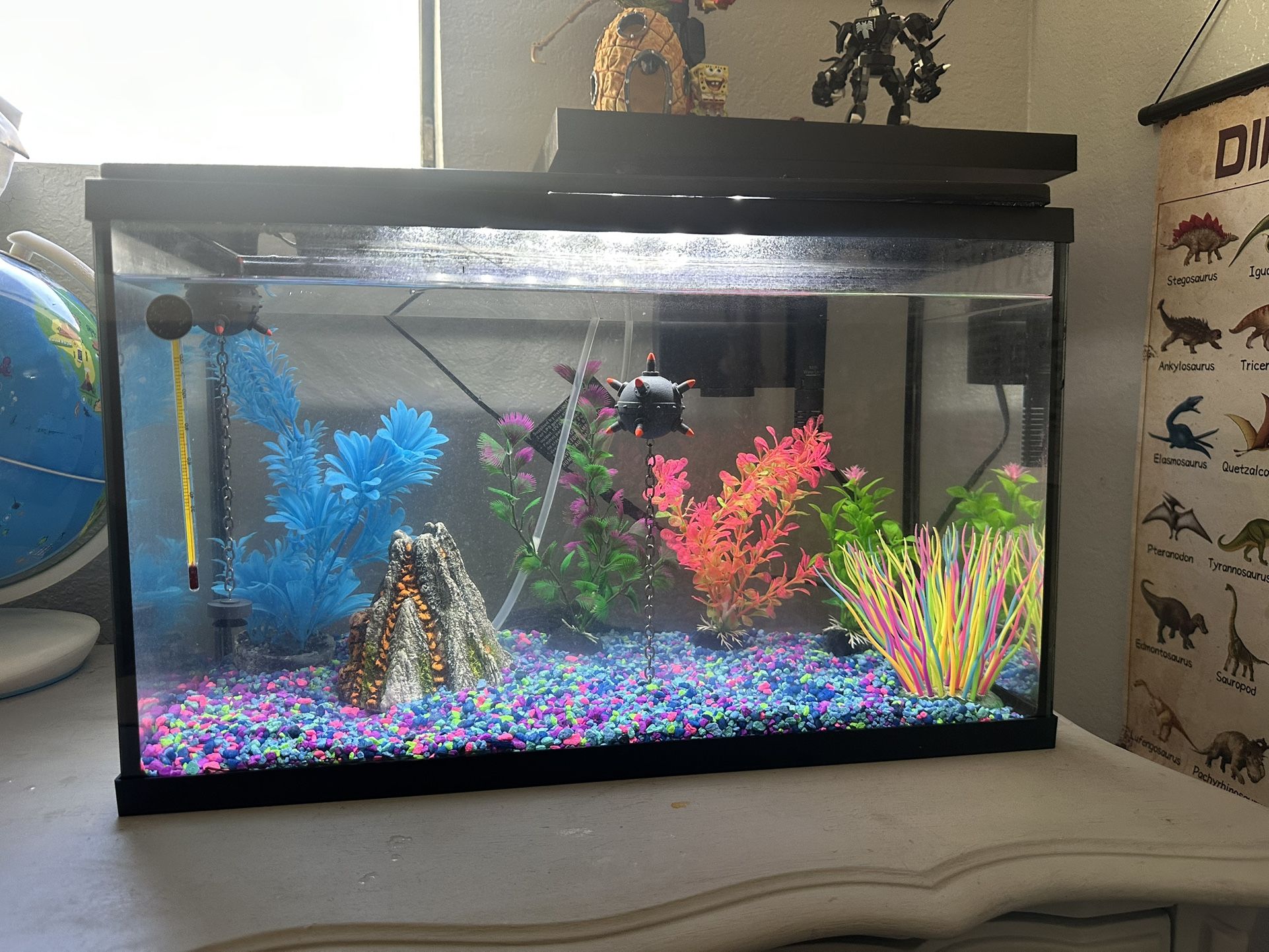 Fish Tank 10 Gallon