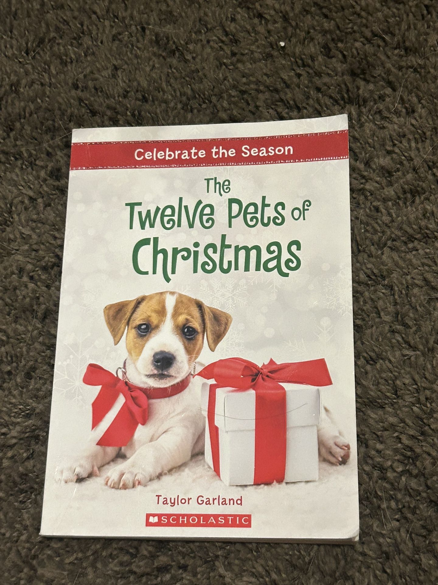 Celebrate the Season: The Twelve Pets of Christmas by Taylor Garland