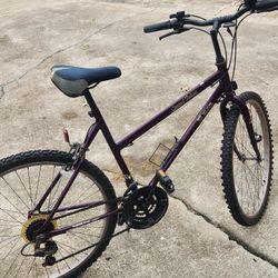 2 bikes 26"