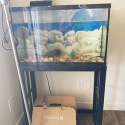 Fish Stand And Tank
