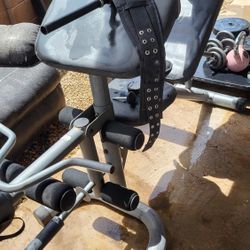 Weight Bench and More