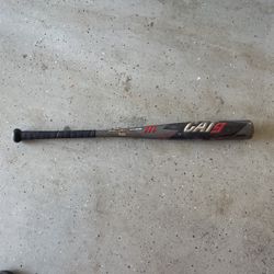 Cat 9 Connect 31 Drop 3