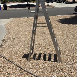 6 Foot Ladder 