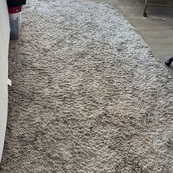 Big rug needs good cleaning