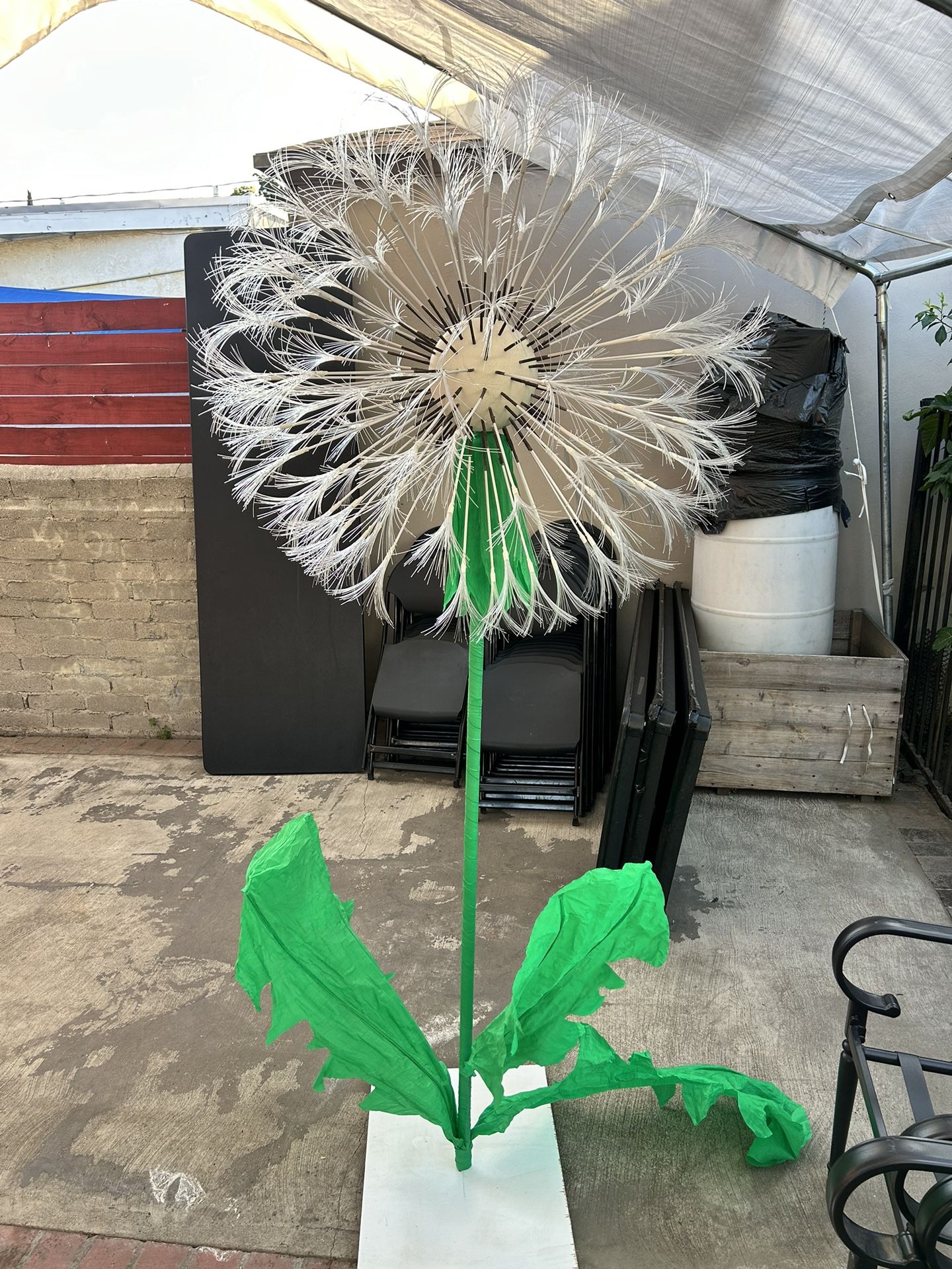 Large Dandelion Flower