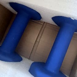 Pair Of 10lb Blue Dumbells