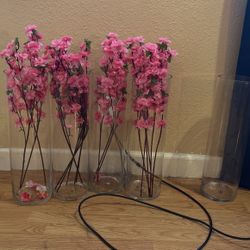 Extra Large Cylinder Vases 