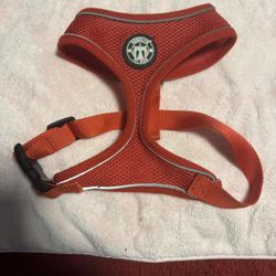 Red dog Harness