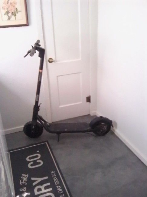 Segway Ninebot Electric Scooter