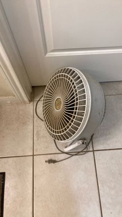 Fan