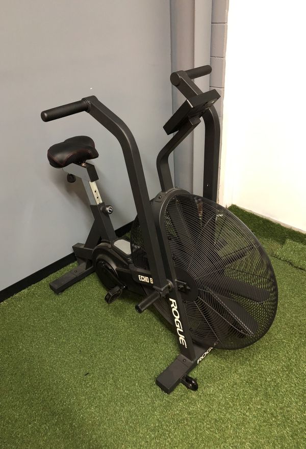 bikeerg vs echo bike