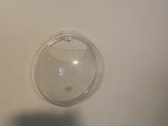 Clear The Bubble Wall Storage For Seashells