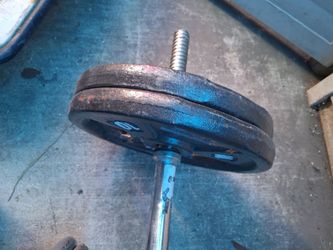 carl bar & 4 ten pound plates