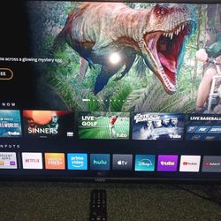 40' Visio Smart Tv With Remote 