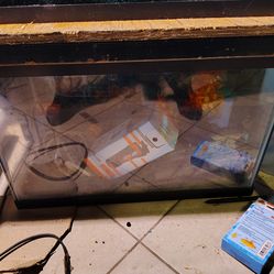 Fish Tank Stuff
