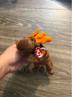 Ty Beanie Baby "Chocolate the Moose" plush toy