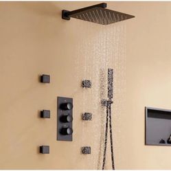 12" Wall Mounted Thermostatic Luxury Shower System brushed nickel  16L And Black  16B