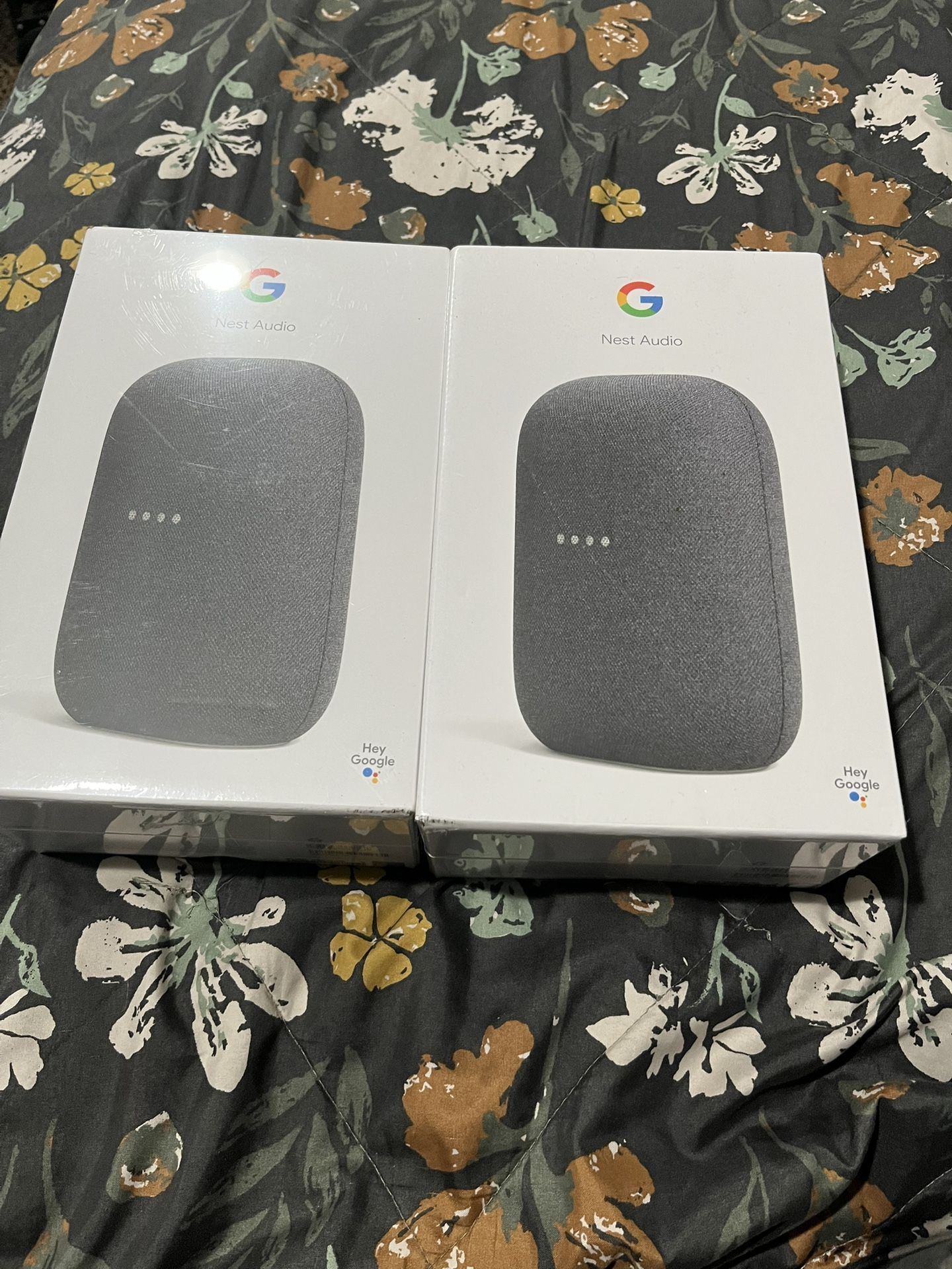 Google Nest Speakers