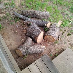 oak Firewood 