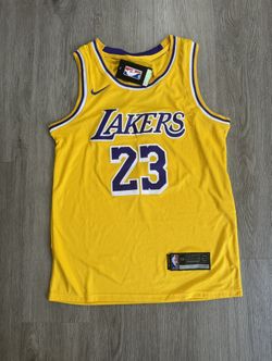 LeBron James 2020 NBA Finals 