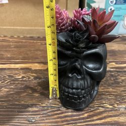 succulent faux plant on school planter