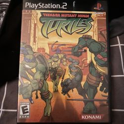 Teenage Mutant Ninja Turtles (PS2)