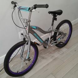 Schwinn Bicycle  20 In