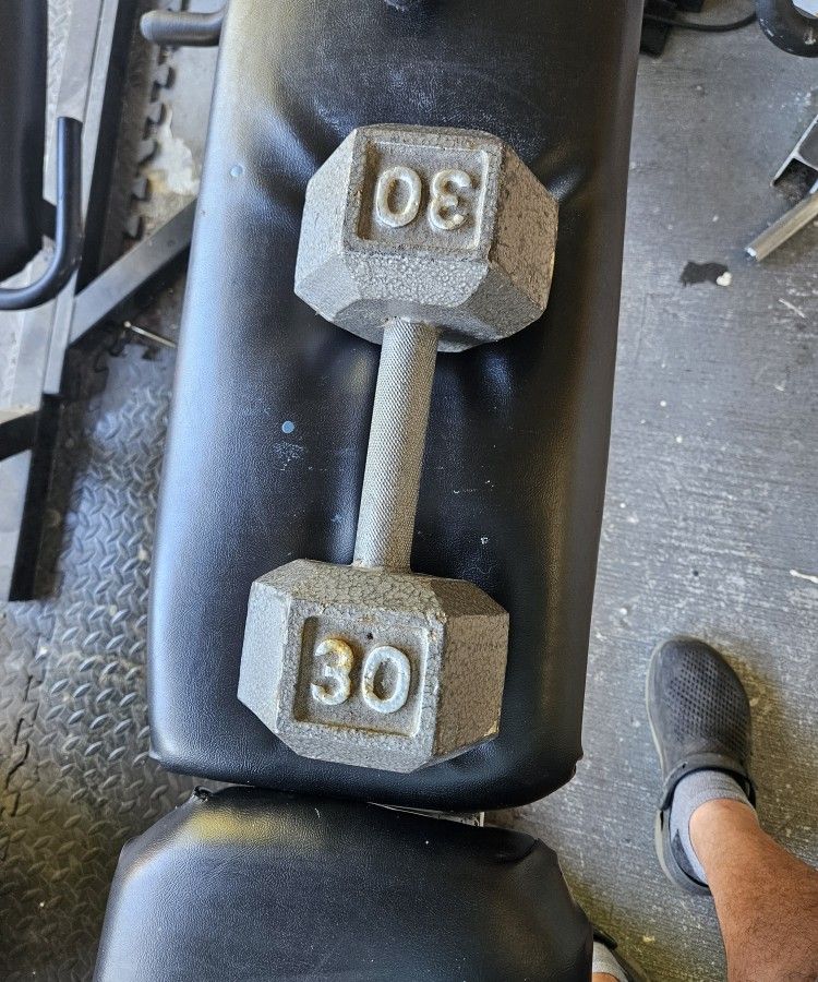 30 Lbs Dumbbell 