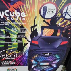 New Bluetooth Rechargeable DJ Karaoke ALL IN ONE Speaker 15"