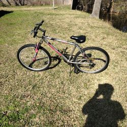 PACIFIC  STYLIST 26" Bike 