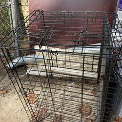 Dog Cage