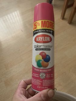 Krylon gloss mambo pink paint