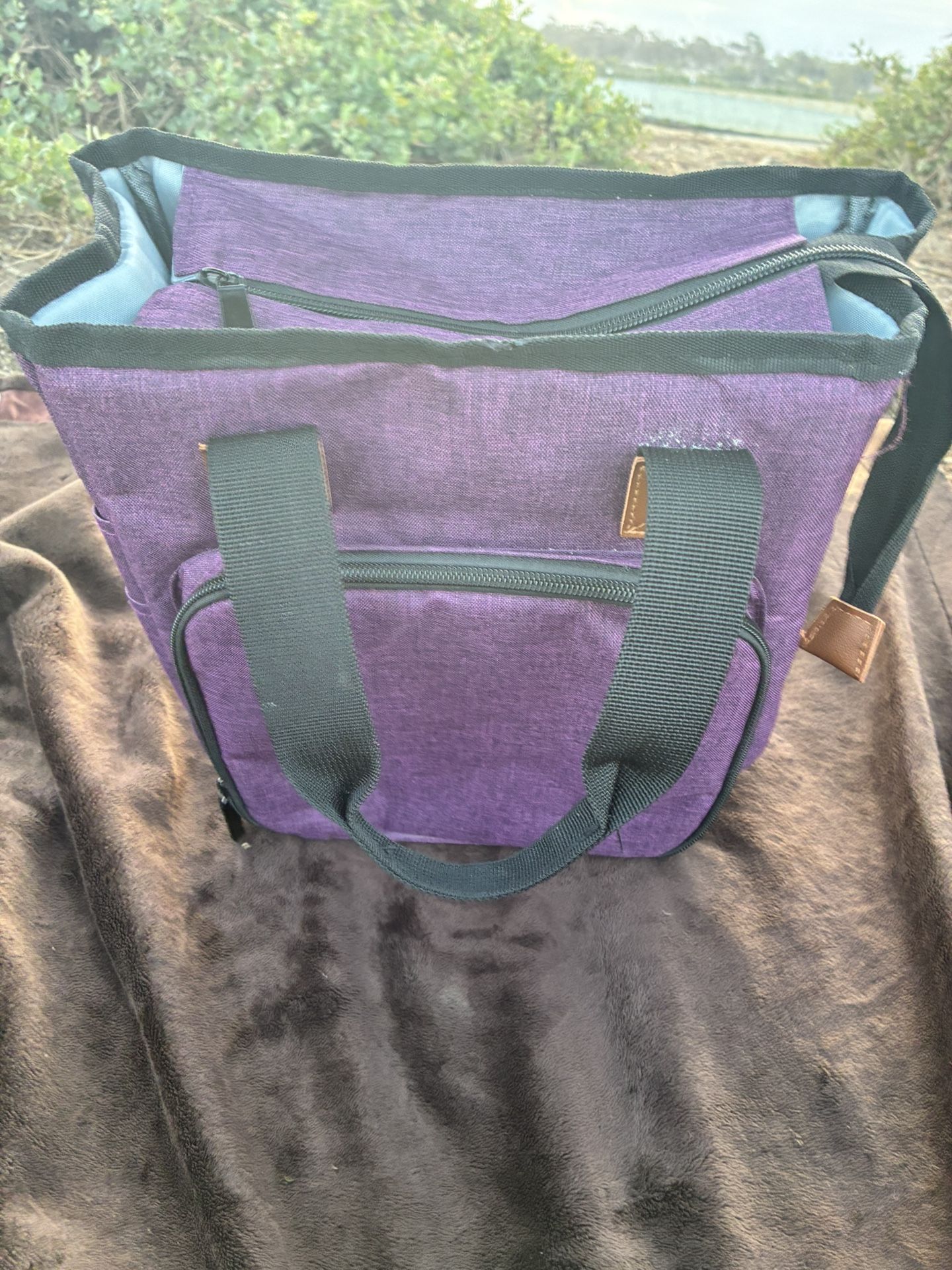 Small Purple Organizer Style Bag