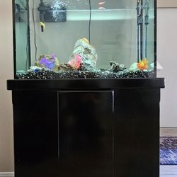 29 gal  aquarium