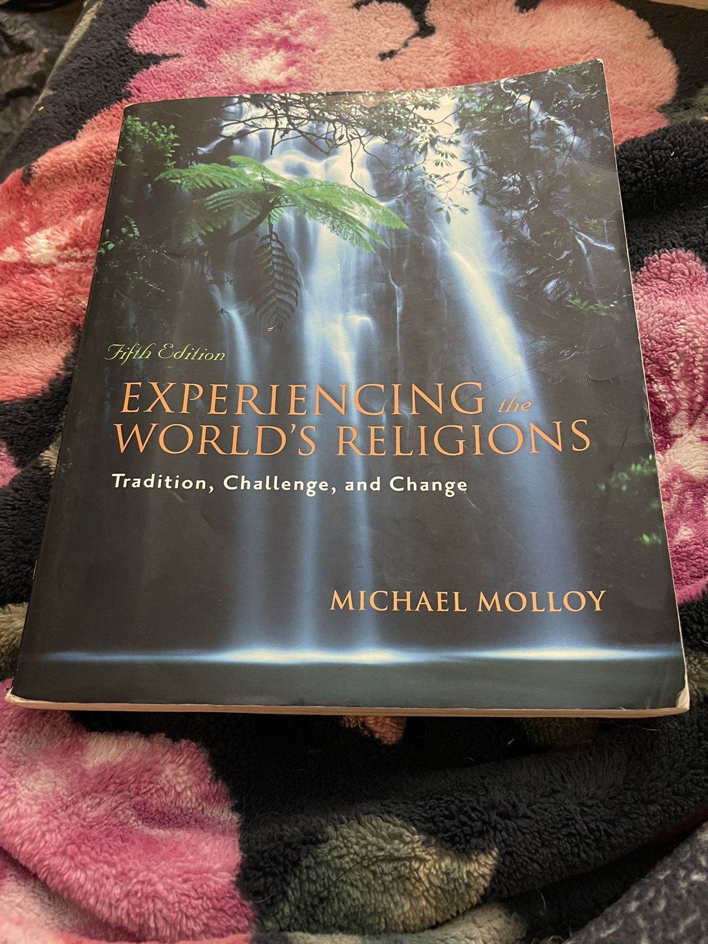 Experiencing Worlds Religions Book