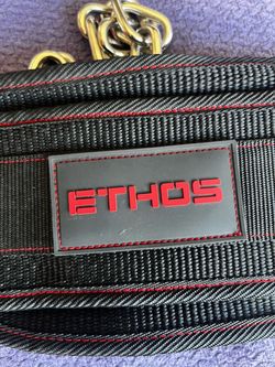 Ethos Dip Belt