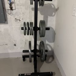Weight Plates And Storage Tree