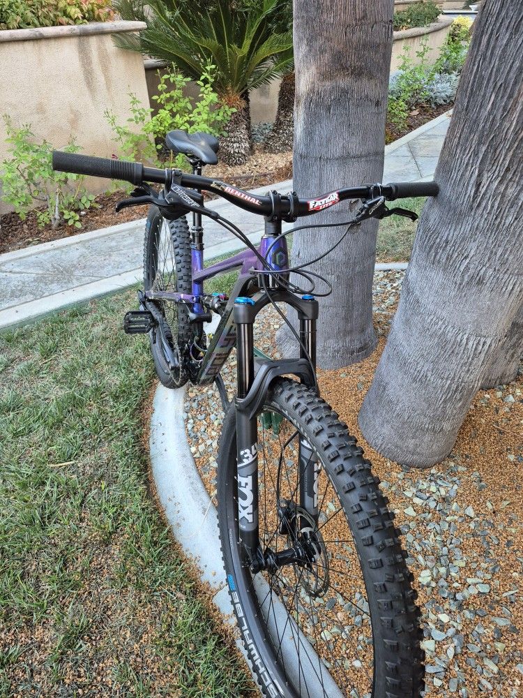 Mountain Bike