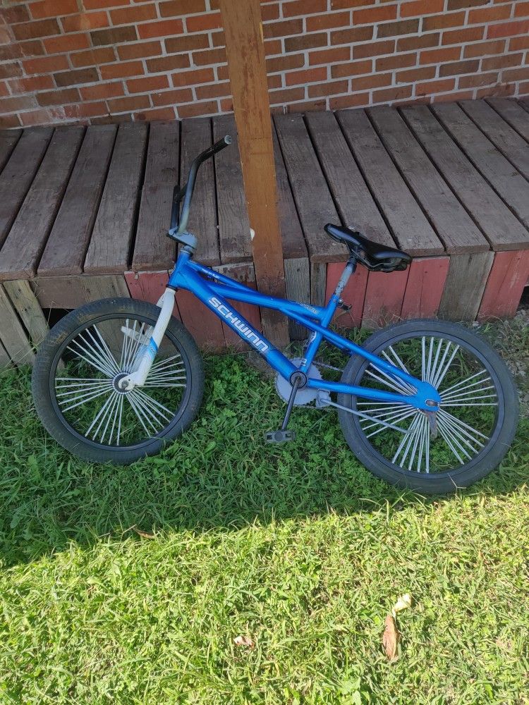 Schwinn 20 Inch