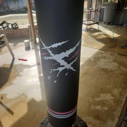 Everlast Water Base Punching Bag