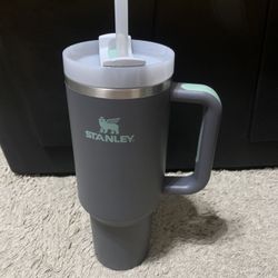 Grey And Mint Stanley Tumbler 44oz